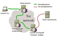 Структура работы Tor