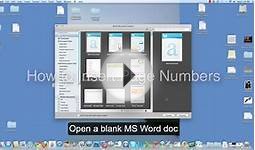 Microsoft Office Word MAC: Inserting a Page Number