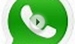 WhatsApp 2.12.560 скачать бесплатно